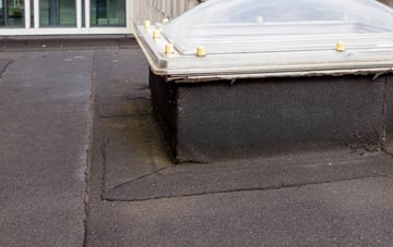 disadvantages of Tregew flat roofs