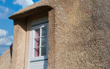 Tregew thatch roof disadvantages